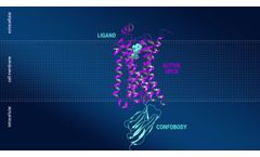 Confo - Superior Platform for Structure-Based Drug Design