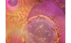 Lava - Model Vy9Vd2 - Gamma-Delta T Cells