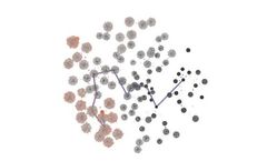Exscientia - Precision Design Service