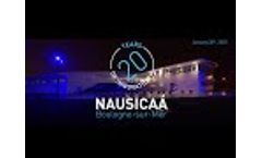 Intech - 20 years of innovation - Video