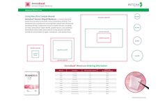 AmnioExcel - Amniotic Allograft Membrane  - Brochure