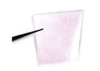 AmnioExcel - Amniotic Allograft Membrane