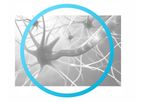 Neuromodtronic - Eyetronic Therapy Services