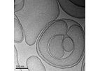 BioSeizer - Model TLC399 - Macular Edema