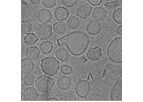 Ampholipad - Systemic Fungal Infections Drug
