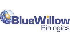 BlueWillow - Anthrax Vaccine