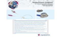 AngioDynamics EVENMORE - Chronic Hemodialysis Catheter - Brochure