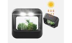 Model EXC-YR-Z02 - Solar Wall Garden Light