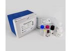 Genscript - Model SARS-CoV-2- sVNT- RUO - Surrogate Virus Neutralization Test Kit