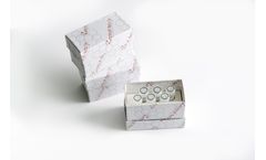 ZeptoMetrix - Model 810051 - Bacteriophage Lambda, DNA (25 µg)