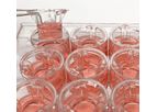 RepliGut - Cell Culture Kit
