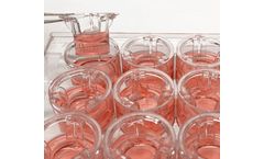 RepliGut - Cell Culture Kit