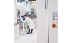 Mammalian Cell Engineering Services