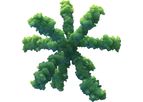Novavax - Recombinant Nanoparticle Vaccine Technology