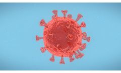There are four types of COVID-19 vaccines: here???s how they work - Video