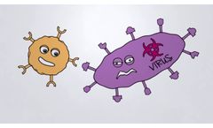How Our SPEAR T-cells Work - Video