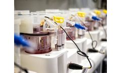 Adaptimmune - Model ADP-A2M4 (MAGE-A4) - Spear T-Cell Therapy