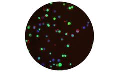 Gentronix - Model Multiflow - Multiple Biomarkers