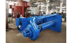 200SV-SP Vertical Cantilever Sump Pumps for Petroleum Storage Project