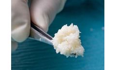Kerecis - Model Omega3 MicroGraft - Acellular Fish Skin Grafts