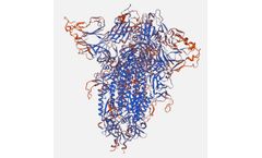 ExcellGene - Stabilized Wuhan Trimeric Spike Protein