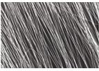 CIS Pharma - Bio-inspired Polymer