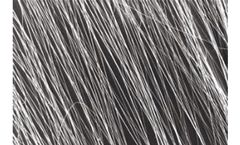 CIS Pharma - Bio-inspired Polymer