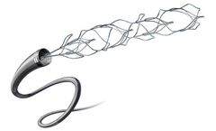 Penumbra System - 3D Revascularization Device