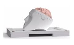 BrightMatter Simulate - Remarkably Life-Like Brain Tissue Models