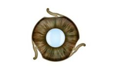Ophtec - Iris Prostheses