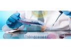 Research and Development Services