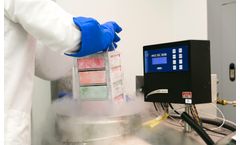 Translational Science Services