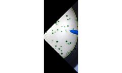 Accelerating Drug Development Process at Scale Services