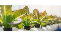 Indoor agriculture - Can it feed the world?