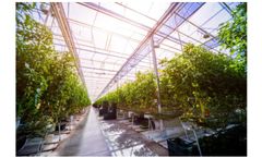 Soil sensors - vital for crop steering & yield manipulation
