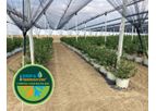 Roots - Model D-RZTO - Drip and Temperature Control System