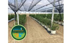 Roots - Model D-RZTO - Drip and Temperature Control System