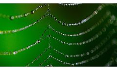 Droople partners with Lombard Odier group for sustainable and responsible water management