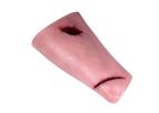 HM - Wound Management Leg Trainer