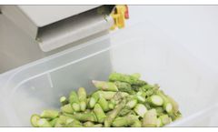 TAC 70 / R Spargel Schneidemaschine - Asparagus cutter - Video