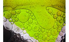 Harvesting Algae by Means of Centrifuges