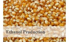 Application of Decanter Centrifuge in Ethanol Production Process