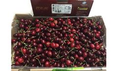 Solution for Cherries