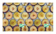 Solution for Stone Fruit