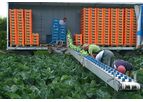 VegBelt - Ergonomic Harvesting Belts Machine