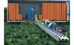 VegBelt - Ergonomic Harvesting Belts Machine