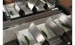 VegSmart - Model LC-8 - Linear Combination Weigher