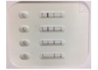 LentiMeter - Lentivirus Titration Kit