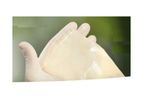 SimpliDerm - Hydrated Acellular Dermal Matrix