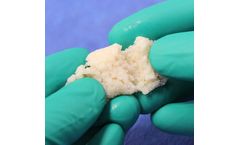 ViBone - Viable Bone Matrix (VBM)